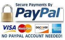 Pay Pal Secure