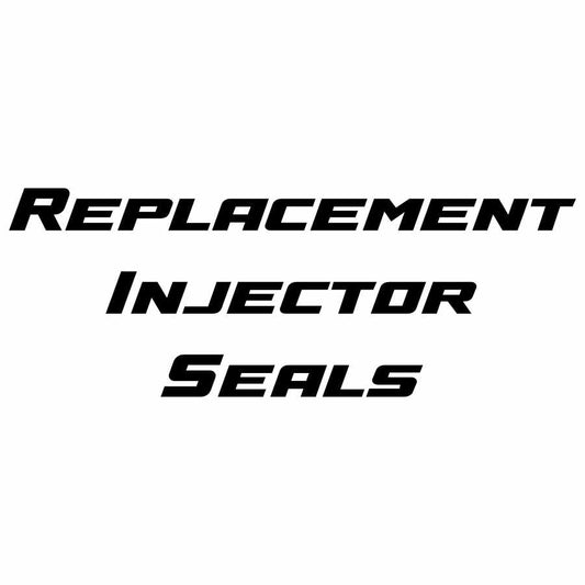 Title graphic reading “Replacement Injector Seals”